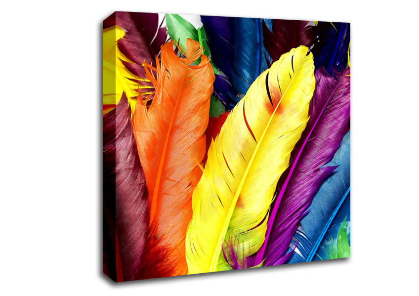 Feathers In Colours Canvas Wall Art