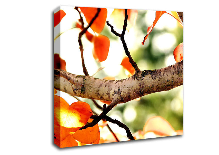 Fall Tree Canvas Wall Art