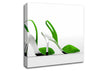 Lime Shoes Canvas Wall Art