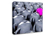 The Odd One Out Pink Teapot Canvas Wall Art
