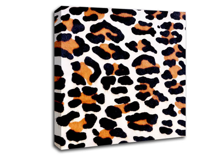 Animal Skin Canvas Wall Art