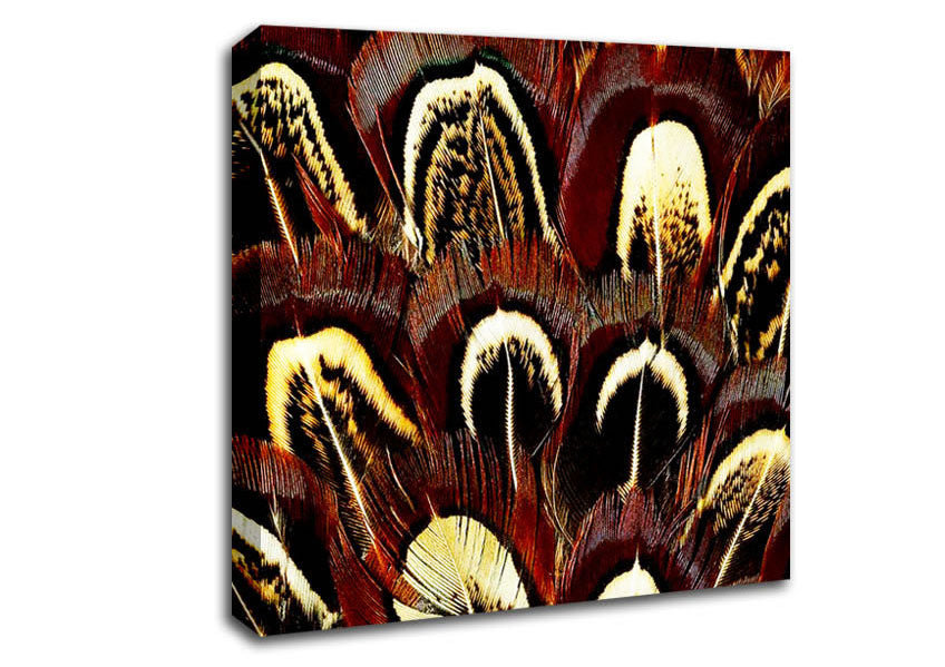 Feather Fan Canvas Wall Art