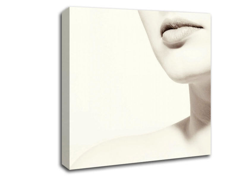 Flawless Skin Canvas Wall Art