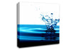 Flow Of The Splash Canvas Wall Art