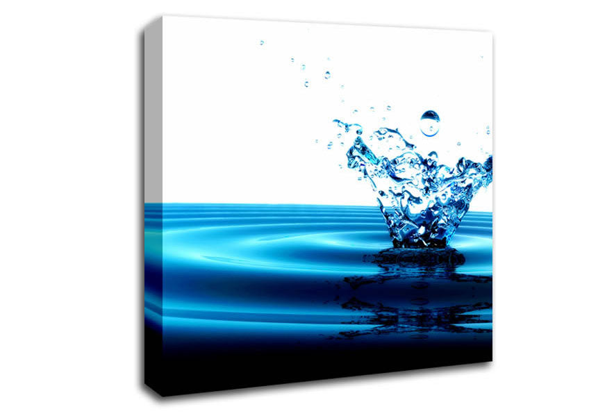 Flow Of The Splash Canvas Wall Art
