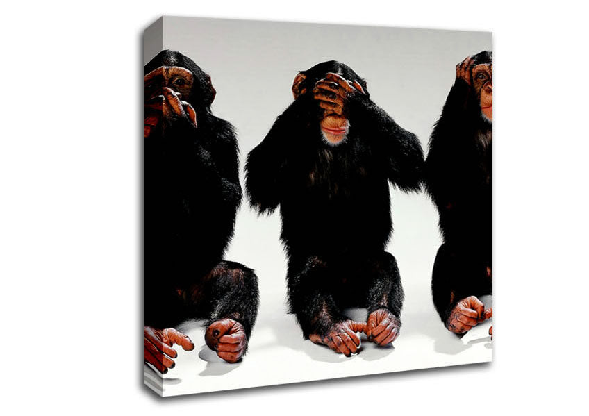Three Wise Monkeys Canvas Wall Art