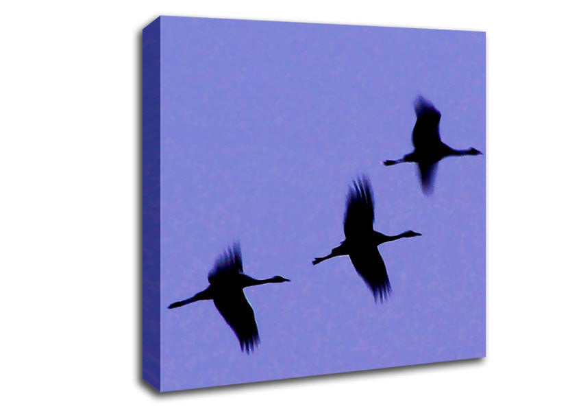 Geese Trio In Flight Purple Canvas Wall Art