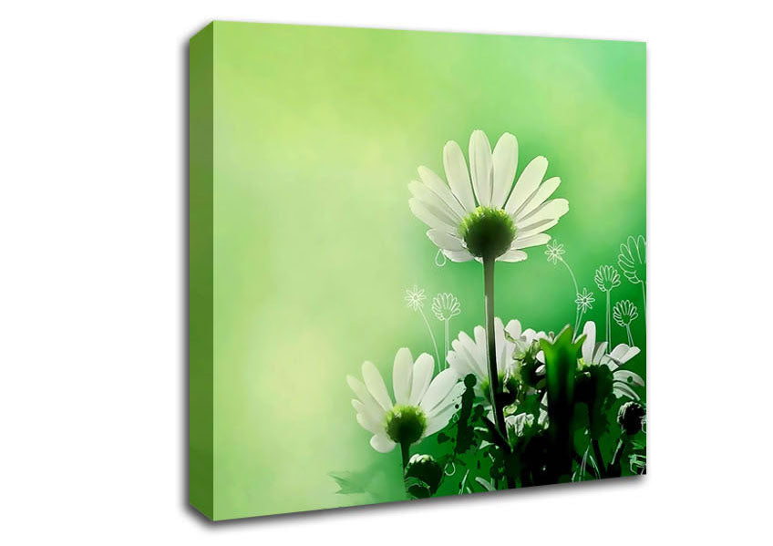Green Daisy Garden Canvas Wall Art