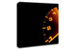 Speedo Canvas Wall Art