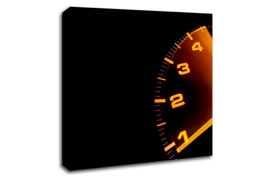 Speedo Canvas Wall Art
