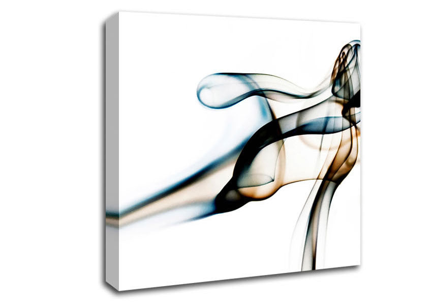 Smoke Ribbons Canvas Wall Art