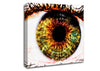 Big Eye Canvas Wall Art