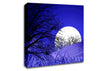 Purple Moonlit Landscape Canvas Wall Art