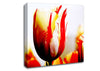 Tulip Heads Canvas Wall Art