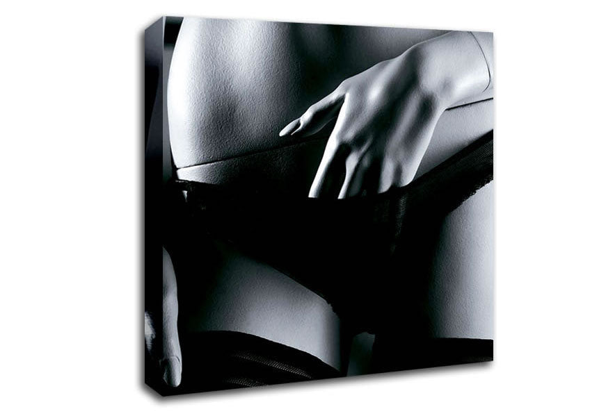 Plastic Beauty Canvas Wall Art