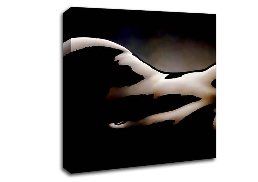 Chocolate Body Canvas Wall Art