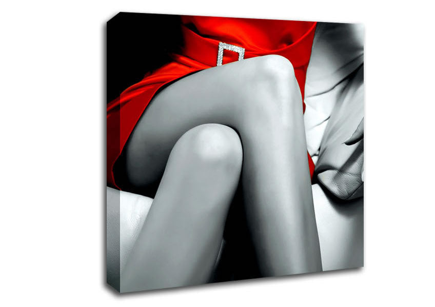 Red Dress Canvas Wall Art