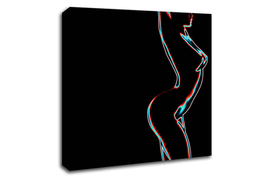 The Form Of A Woman Canvas Wall Art