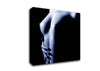 Female Torso Side Blue Canvas Wall Art
