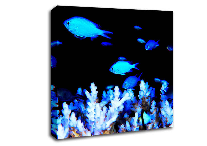 The Ocean World Canvas Wall Art