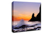 Ocean Spray Delight Canvas Wall Art