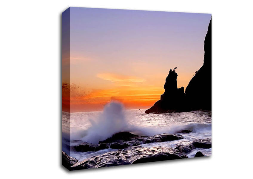 Ocean Spray Delight Canvas Wall Art