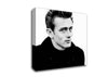 James Dean Portrait Canvas Wall Art