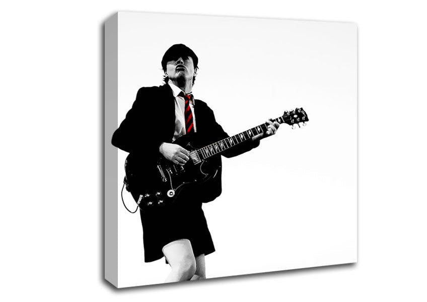 Acdc Guitar Canvas Wall Art