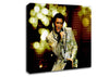 Elvis Presley 68 Special Canvas Wall Art