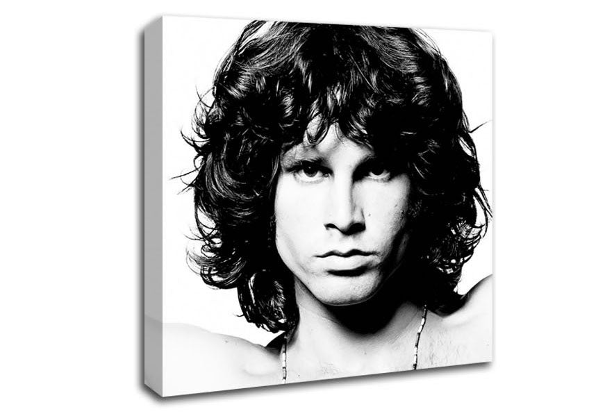 Jim Morrison Face Canvas Wall Art