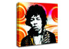 Jimi Hendrix Swirls Canvas Wall Art