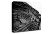 Notre Dame Barcelona Canvas Wall Art