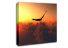 Eagle Flying In The Burnt Orange Sky Canvas Wall Art