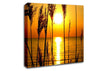 A Perfect Sunset Canvas Wall Art