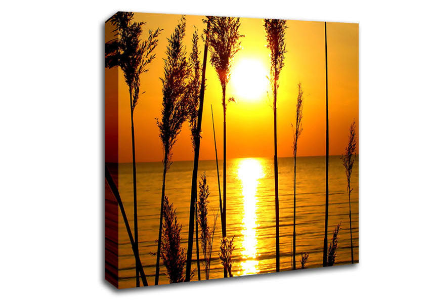 A Perfect Sunset Canvas Wall Art