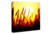 Beautiful Sun Rise Reeds Canvas Wall Art