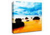 Orange Sands Canvas Wall Art
