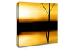 Golden Lake Reflections Canvas Wall Art