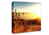 Late Summer Field Canvas Wall Art