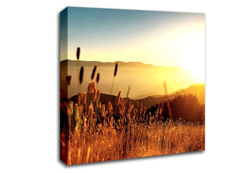 Late Summer Field Canvas Wall Art
