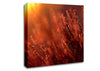 Sun Glare Canvas Wall Art