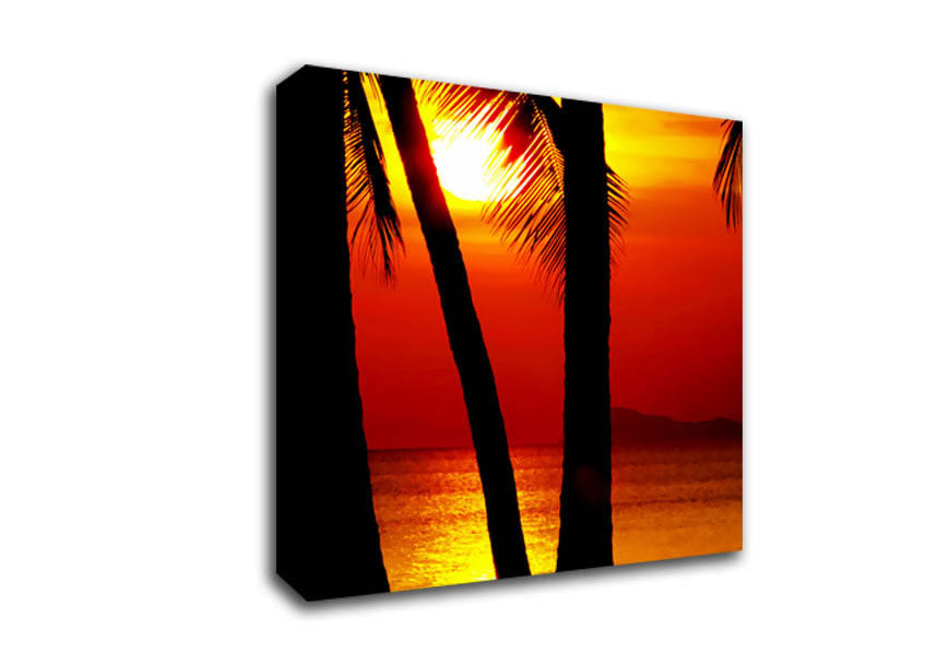 Golden Reflections Of The Palmtree Sun Canvas Wall Art