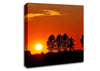 Orange Tree Horizon Canvas Wall Art