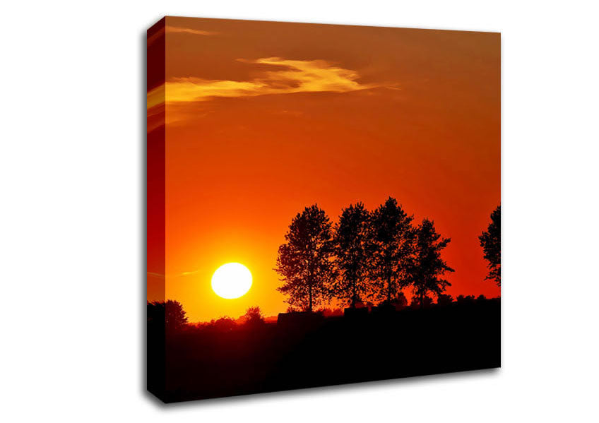 Orange Tree Horizon Canvas Wall Art