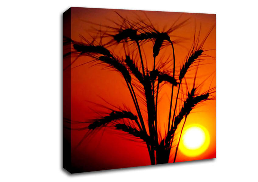 The Wheats Source Of Energy Canvas Wall Art