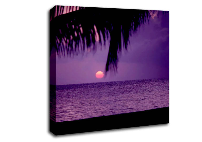 Sun Down Palm Purple Canvas Wall Art