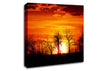 Orange Sunset Treeline Canvas Wall Art