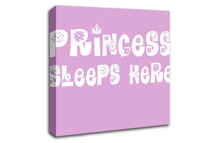 Princesss Sleeps Here Pink Canvas Wall Art