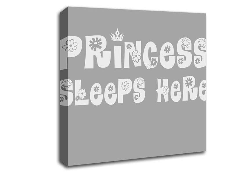 Princesss Sleeps Here Grey White Canvas Wall Art