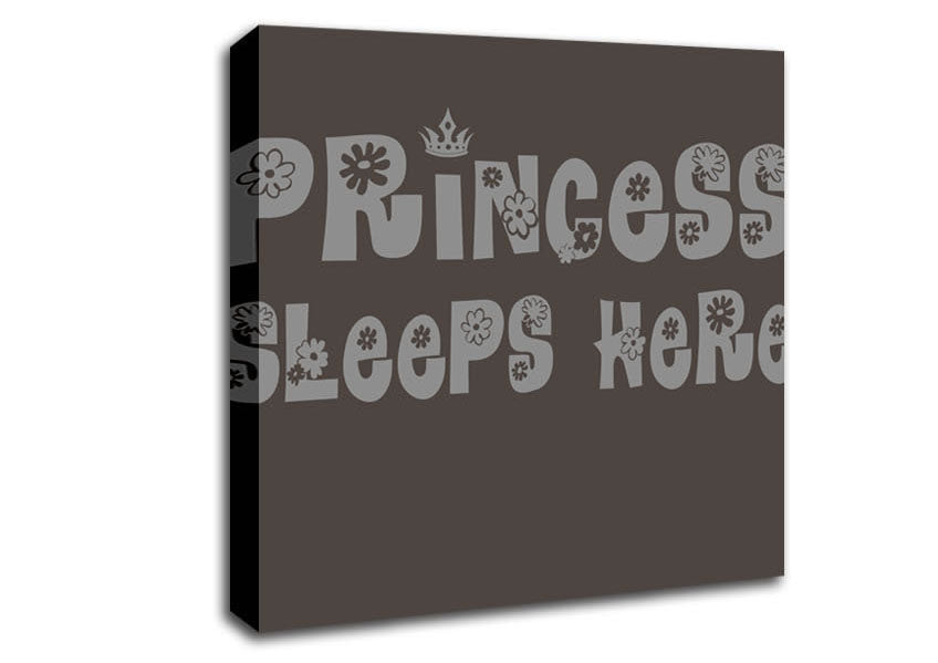 Princesss Sleeps Here Chocolate Canvas Wall Art
